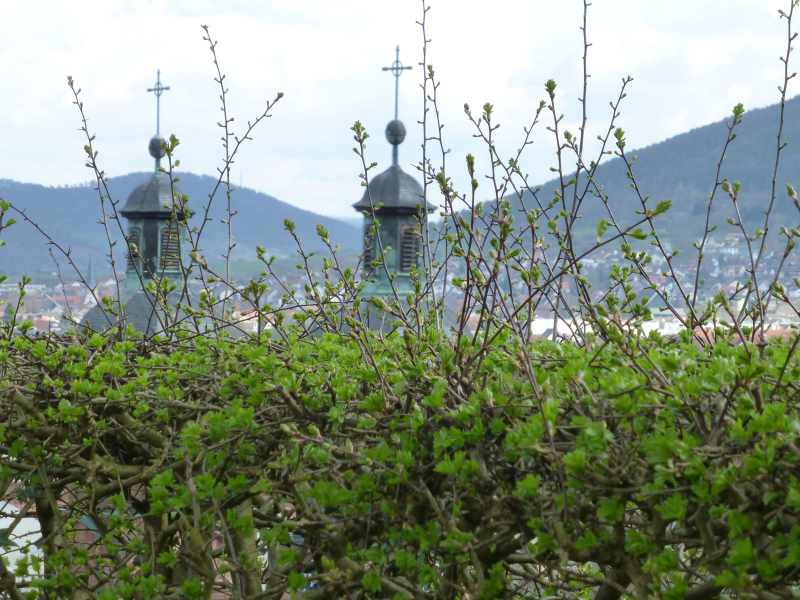 D:Bayern>Miltenberg>Mildenburg>Blick aus dem Zwinger1