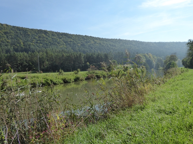 die Altmühl im Spätherbst 2014