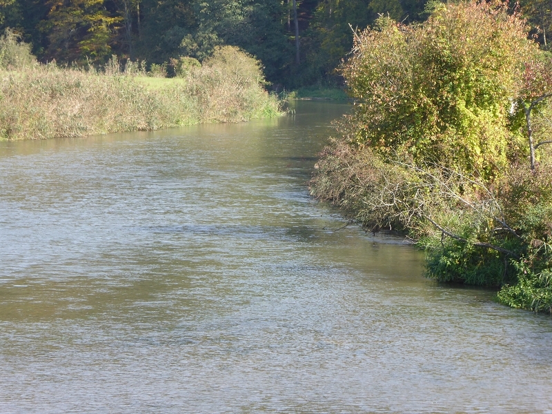 die Altmühl im Spätherbst 2014