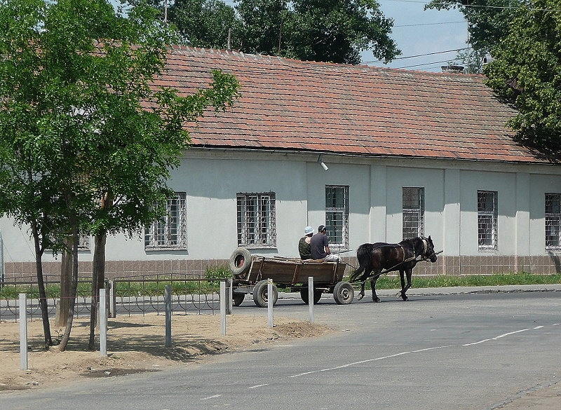 Mukatschewe > Burg