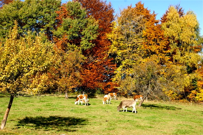 PEIßENBERG > Wanderung auf den Hohen Peißenberg 4