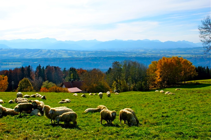 PEIßENBERG > Wanderung auf den Hohen Peißenberg 4