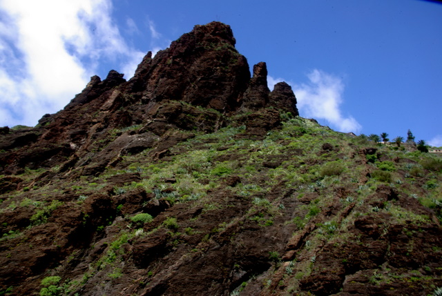 MASCA-TAL > Barranco de Masca