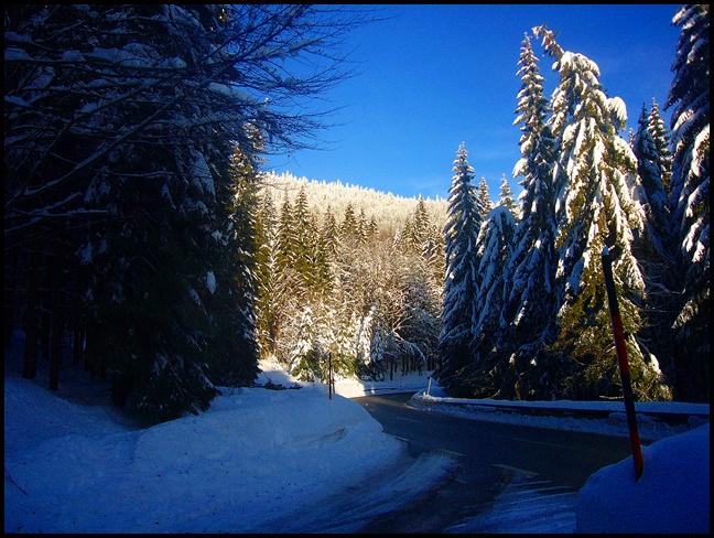 Wintermärchen im Bayerischen Wald - Bayern - Schoener Reisen » Forum 