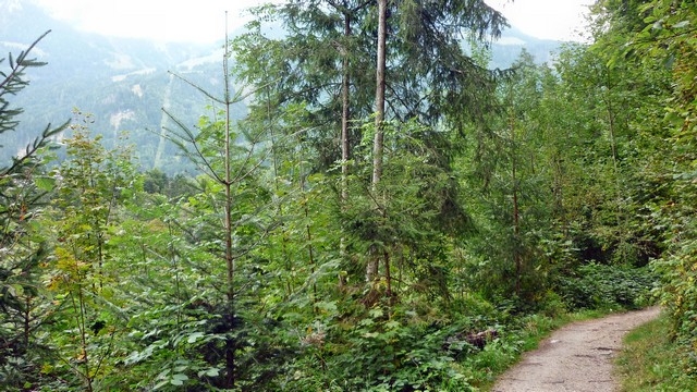 P1010706 1