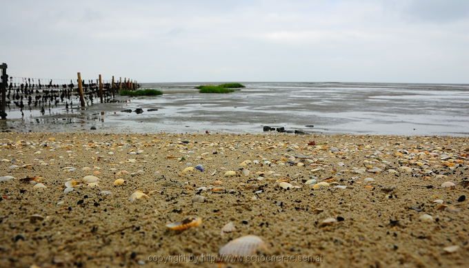 Ostfriesland 17