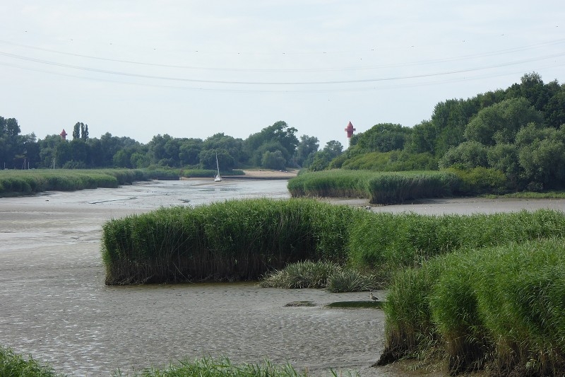 Nebenarm der Weser