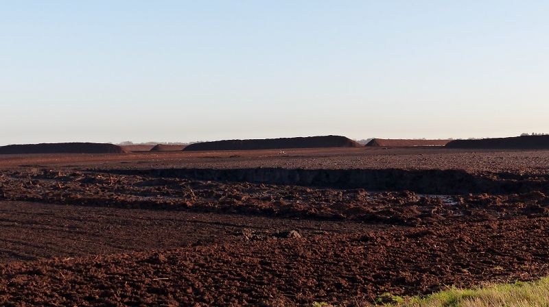 Vehnemoor4