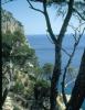 Ostküste Mallorca > Arta Cueva