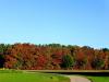 Herbstspaziergang Herbstspaziergang