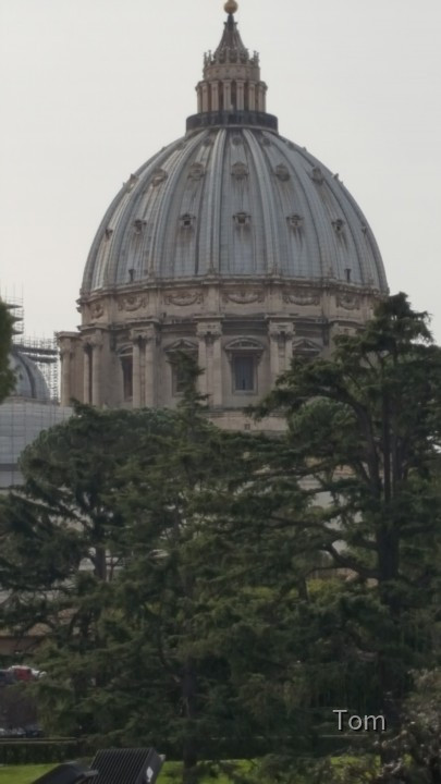 Ansicht Petersdom