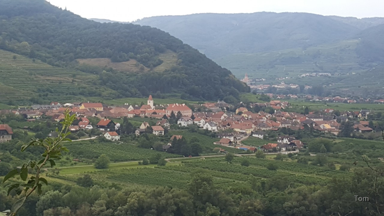 Blick von Dürnstein über Donau nach Rossatz