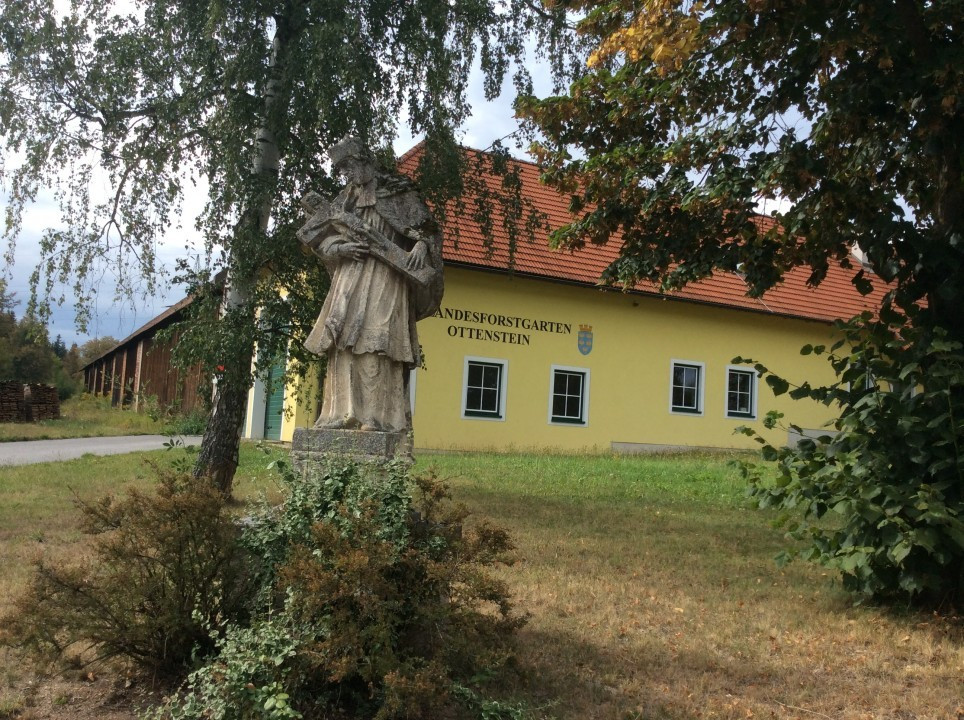 Peygarten - Ottenstein < Nepomuk