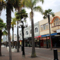 Napier