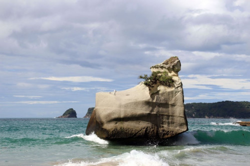 Coromandel