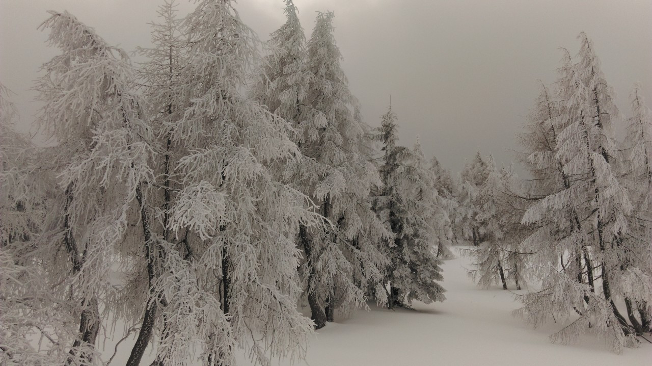 Schneeschuhwandern