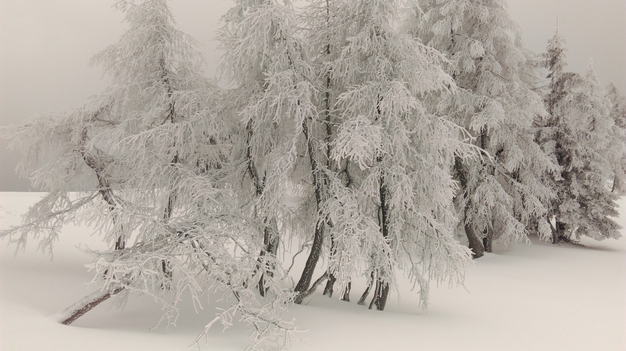 Schneeschuhwandern