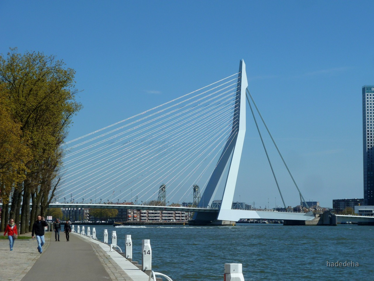 Rotterdam Erasmusbrücke - Schoener Reisen » Forum ...